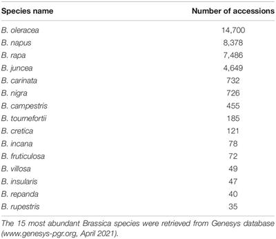 Opening the Treasure Chest: The Current Status of Research on Brassica oleracea and B. rapa Vegetables From ex situ Germplasm Collections